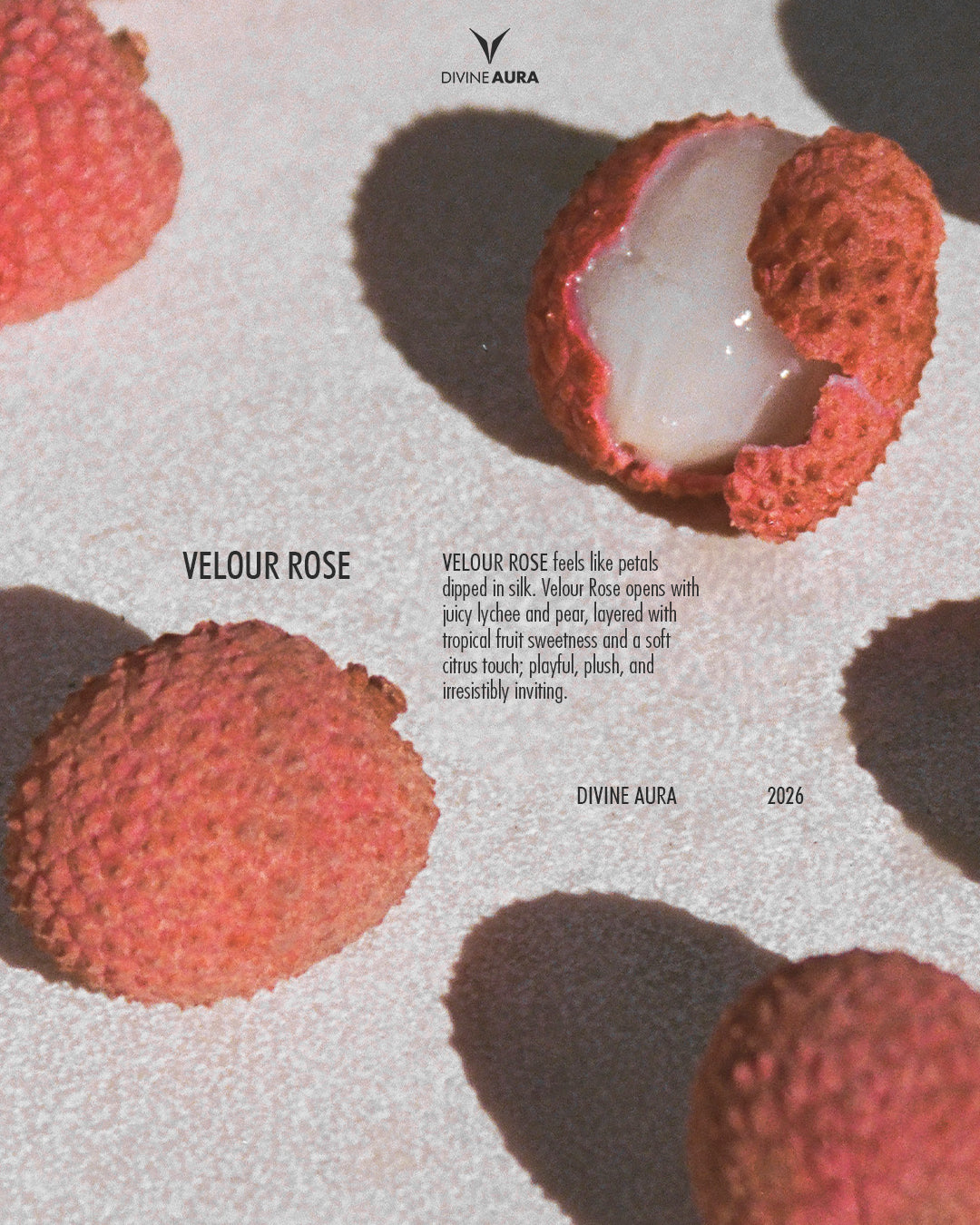 Velour Rose