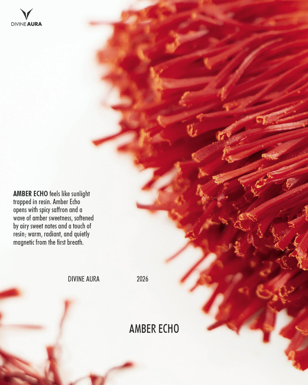 Amber Echo