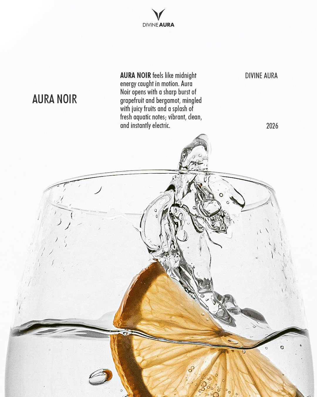 Aura Noir