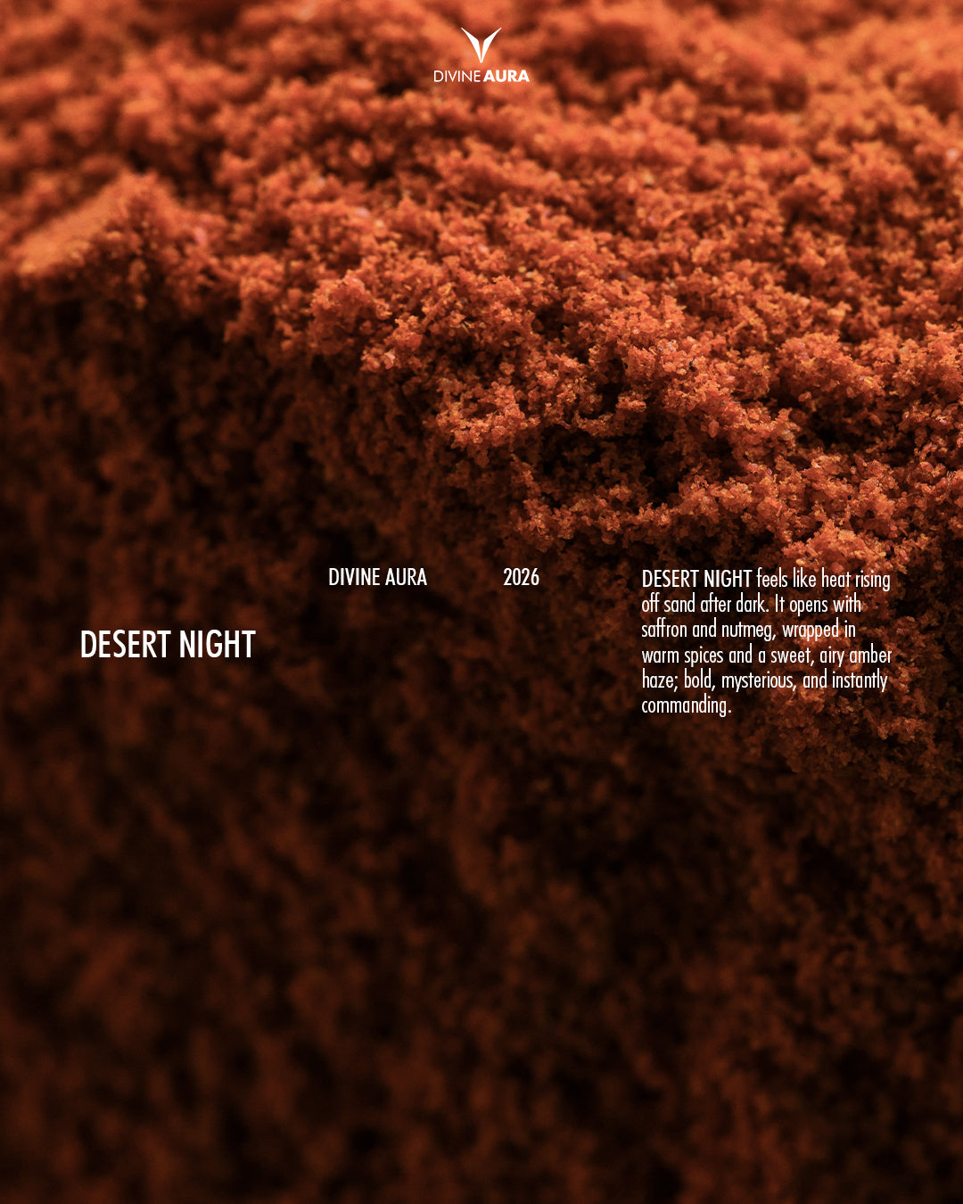Desert Night