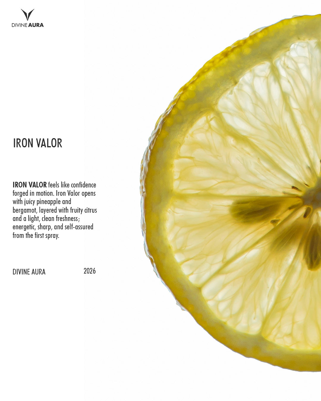Iron Valor