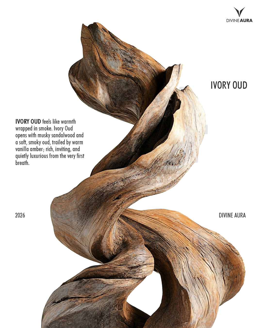Ivory Oud